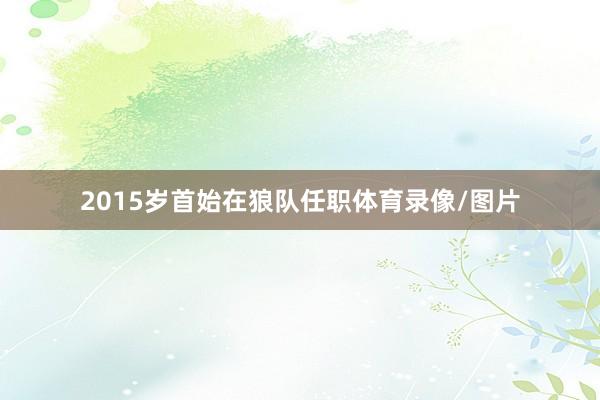 2015岁首始在狼队任职体育录像/图片