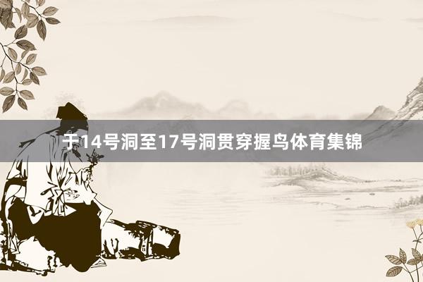 于14号洞至17号洞贯穿握鸟体育集锦