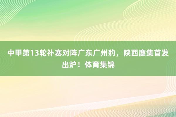中甲第13轮补赛对阵广东广州豹，陕西麇集首发出炉！体育集锦
