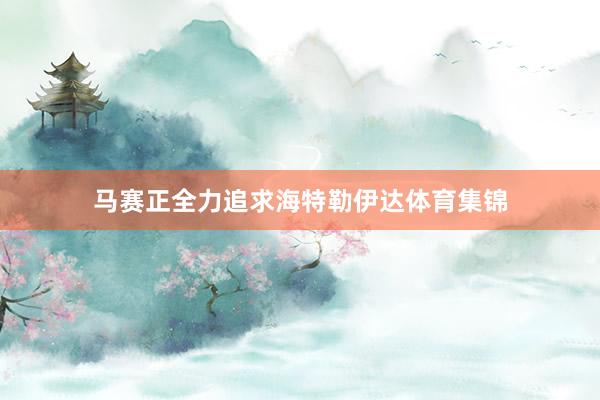 马赛正全力追求海特勒伊达体育集锦