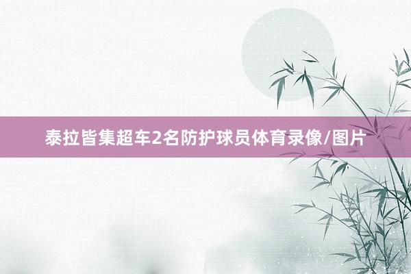 泰拉皆集超车2名防护球员体育录像/图片