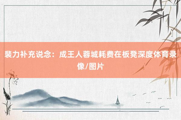 裴力补充说念：成王人蓉城耗费在板凳深度体育录像/图片