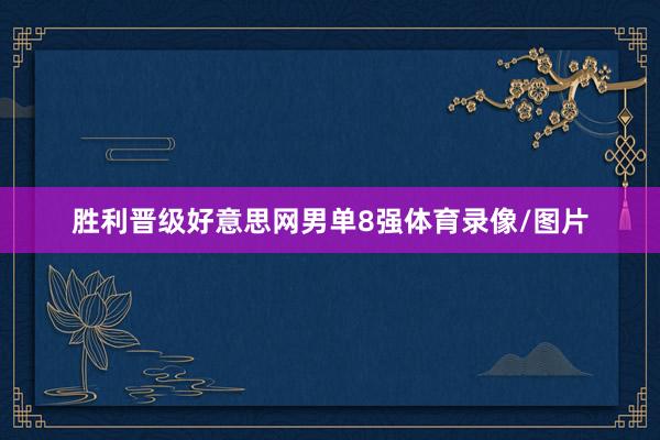 胜利晋级好意思网男单8强体育录像/图片