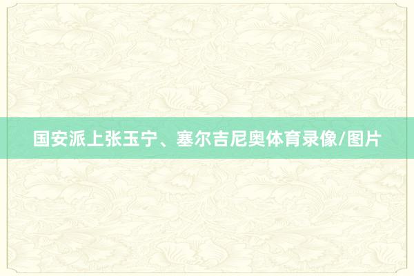 国安派上张玉宁、塞尔吉尼奥体育录像/图片