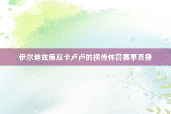 伊尔迪兹策应卡卢卢的横传体育赛事直播
