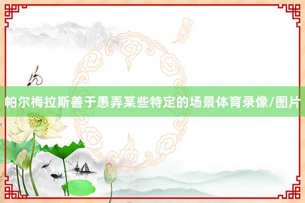 帕尔梅拉斯善于愚弄某些特定的场景体育录像/图片