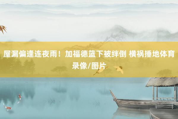 屋漏偏逢连夜雨!加福德篮下被绊倒 横祸捶地体育录像/图片