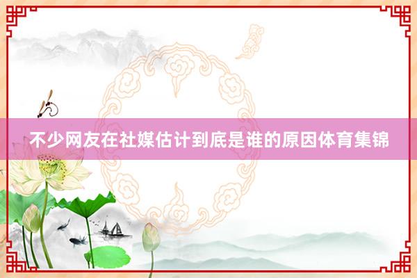 不少网友在社媒估计到底是谁的原因体育集锦