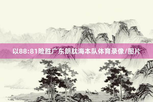 以88:81险胜广东朗肽海本队体育录像/图片