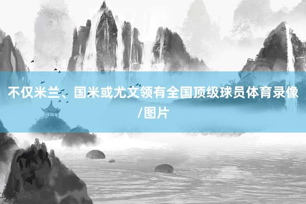 不仅米兰、国米或尤文领有全国顶级球员体育录像/图片