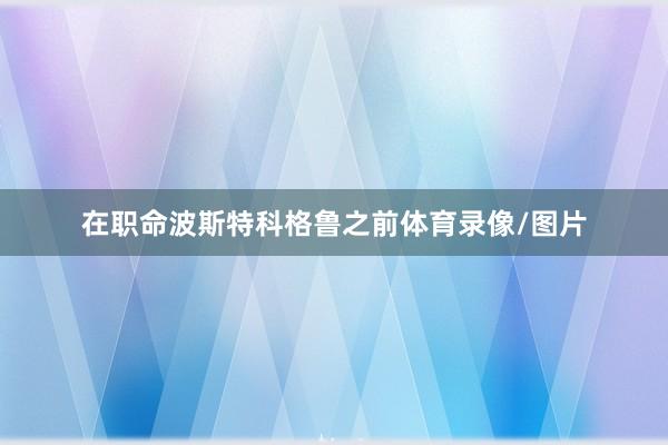 在职命波斯特科格鲁之前体育录像/图片