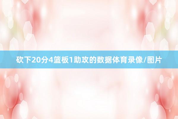 砍下20分4篮板1助攻的数据体育录像/图片