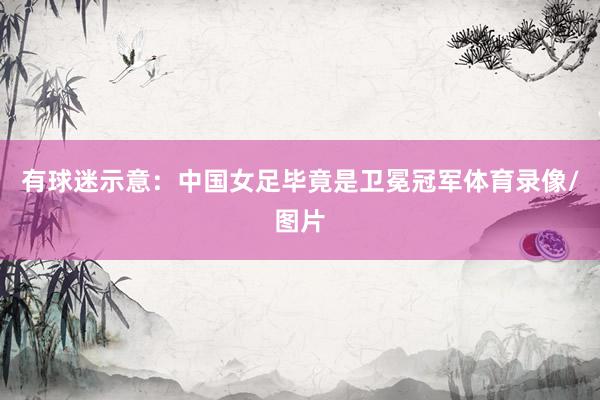 有球迷示意:中国女足毕竟是卫冕冠军体育录像/图片