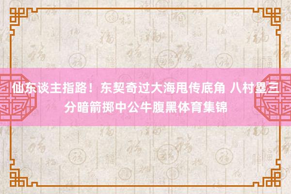 仙东谈主指路！东契奇过大海甩传底角 八村塁三分暗箭掷中公牛腹黑体育集锦