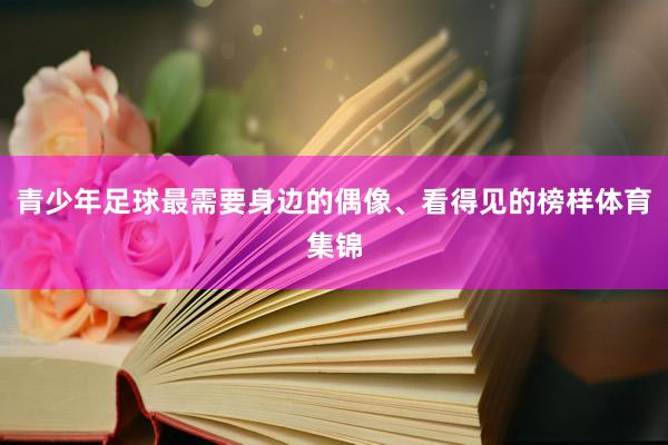 青少年足球最需要身边的偶像、看得见的榜样体育集锦