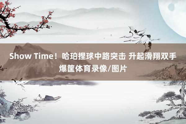 Show Time！哈珀捏球中路突击 升起滑翔双手爆筐体育录像/图片