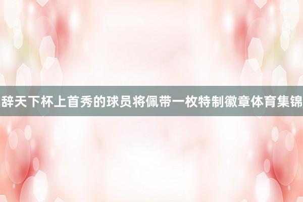 辞天下杯上首秀的球员将佩带一枚特制徽章体育集锦
