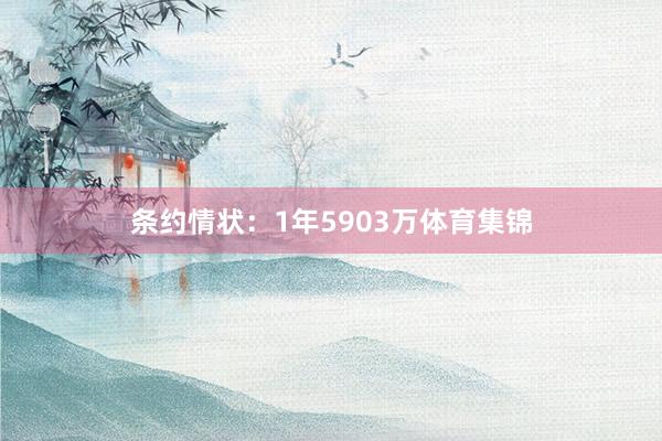 条约情状：1年5903万体育集锦