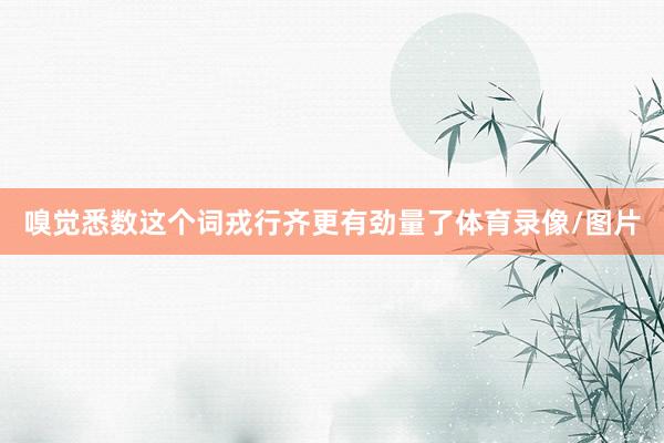 嗅觉悉数这个词戎行齐更有劲量了体育录像/图片
