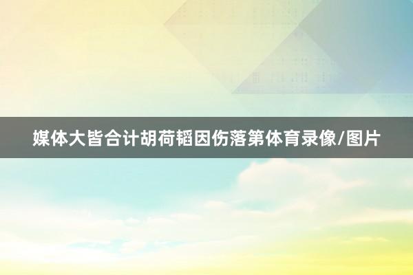 媒体大皆合计胡荷韬因伤落第体育录像/图片