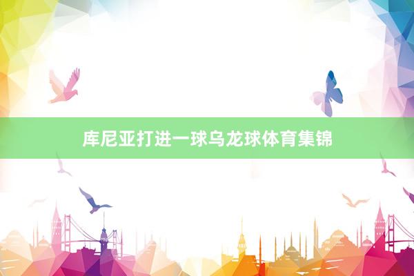 库尼亚打进一球乌龙球体育集锦