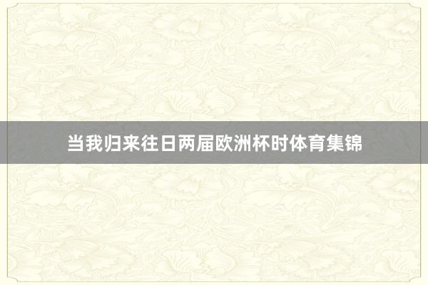 当我归来往日两届欧洲杯时体育集锦