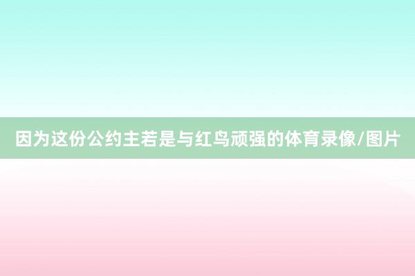 因为这份公约主若是与红鸟顽强的体育录像/图片