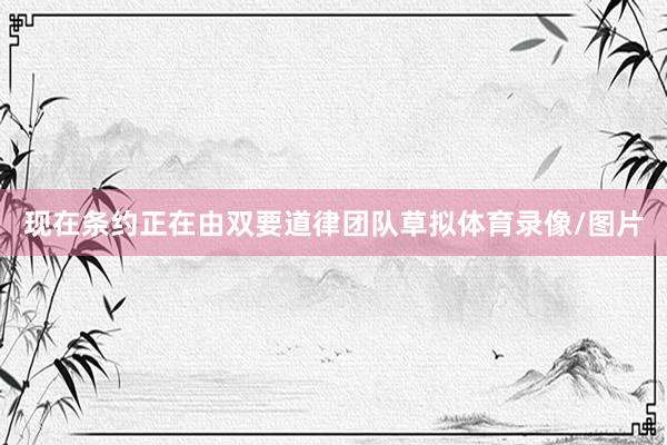 现在条约正在由双要道律团队草拟体育录像/图片